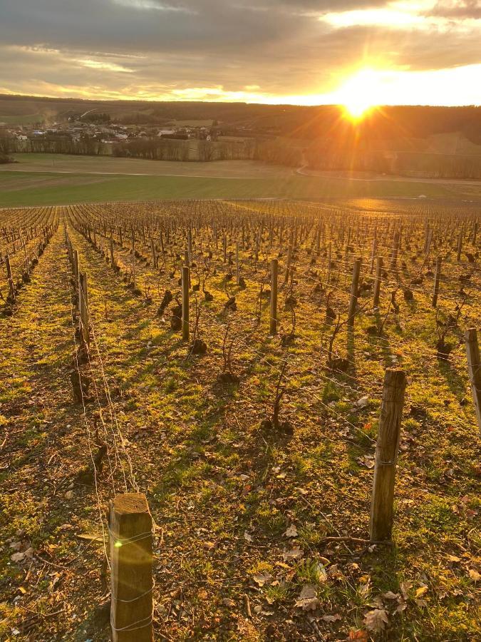 MeurvilleNuit'S Feerique En Champagne别墅 外观 照片
