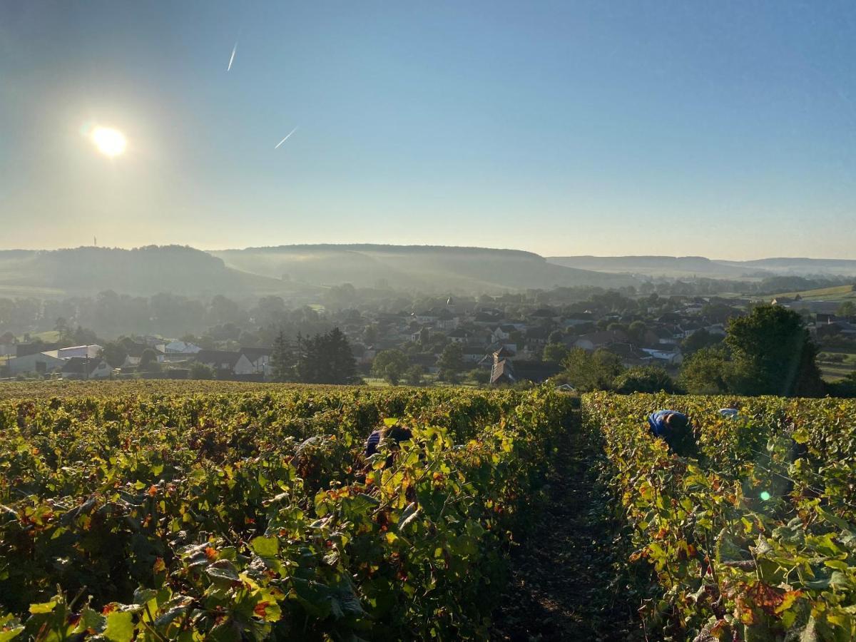 MeurvilleNuit'S Feerique En Champagne别墅 外观 照片